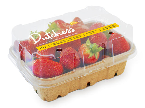 Dutchess Strawberries
