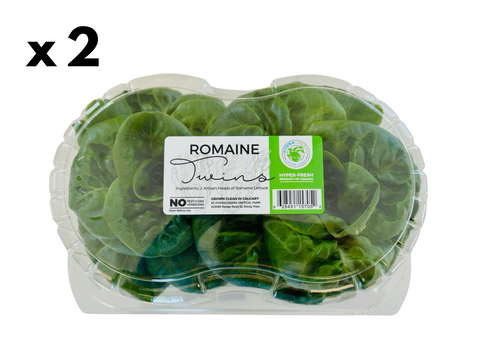 Live Romaine Lettuce